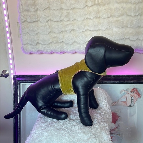 Stylish Black and Gold Dog Harness - Picture 3 of 8